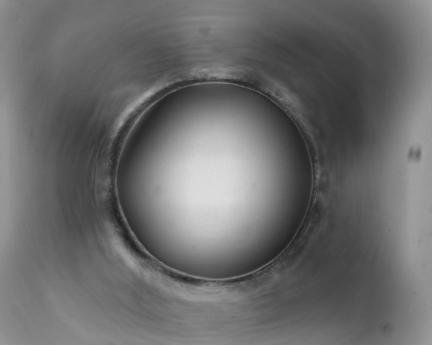 X0000112420012200908211156