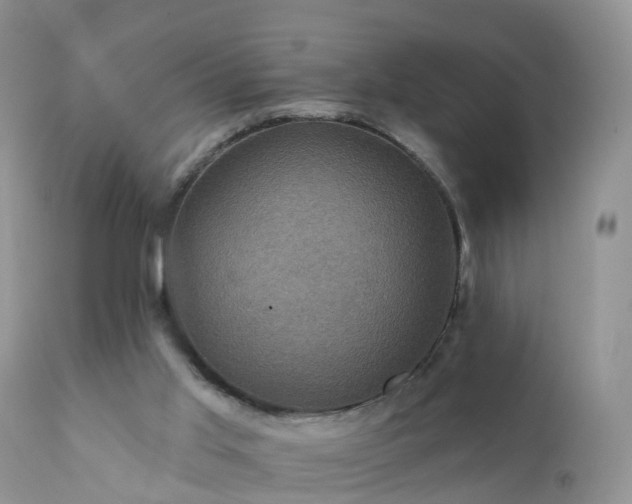 X0000112420013200908211156