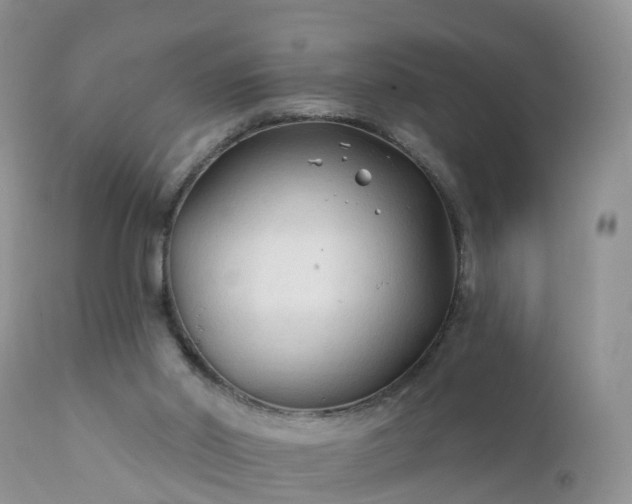 X0000112420014200908211156