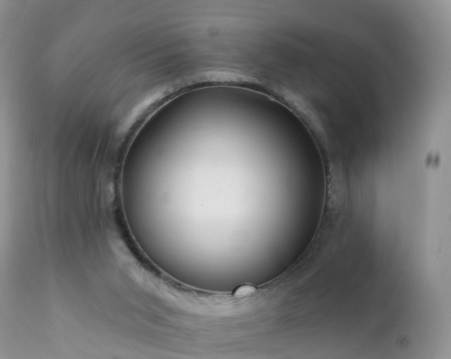 X0000112420015200908211156