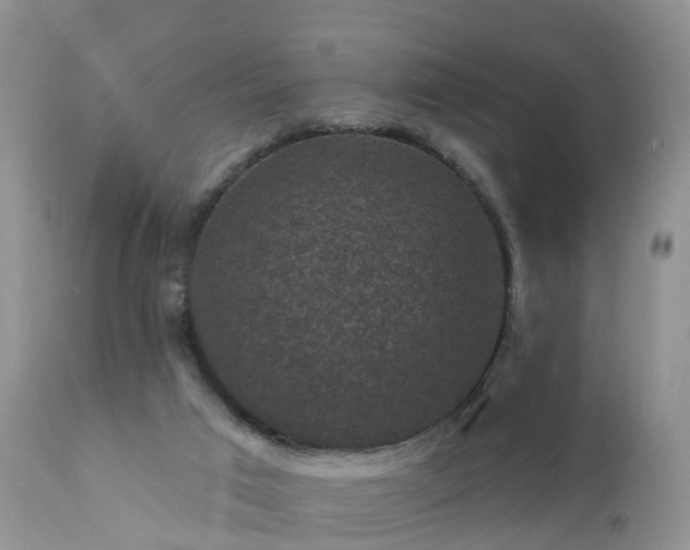 X0000112420017200908211156