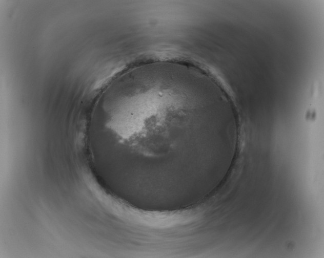 X0000112420018200908211156