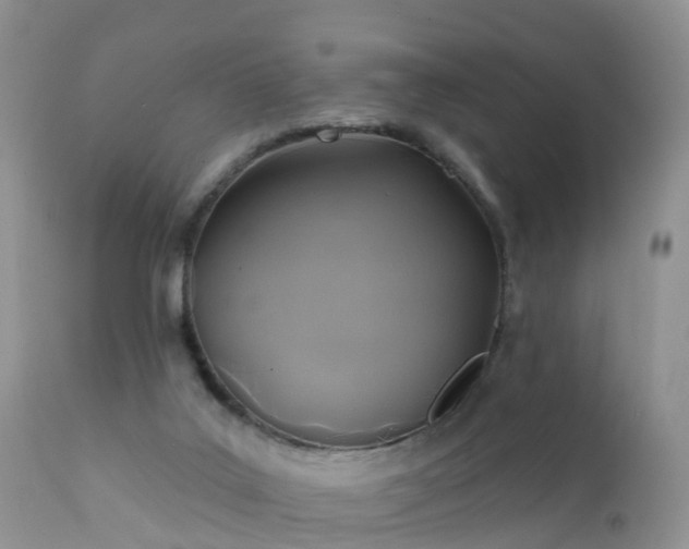 X0000112420019200908211156