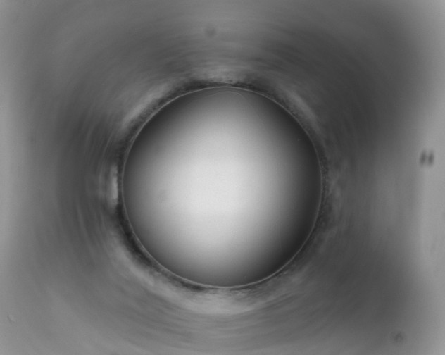 X0000112420020200908211156