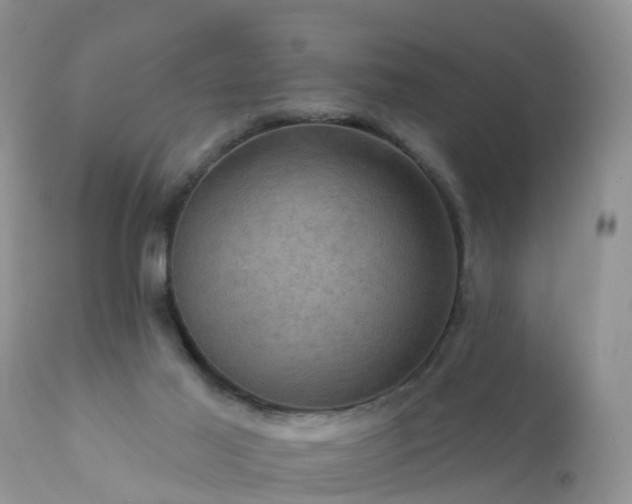 X0000112420021200908211156