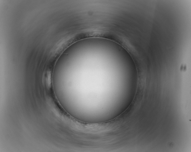 X0000112420022200908211156