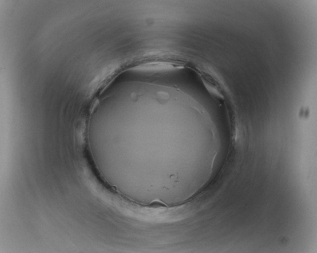 X0000112420023200908211156