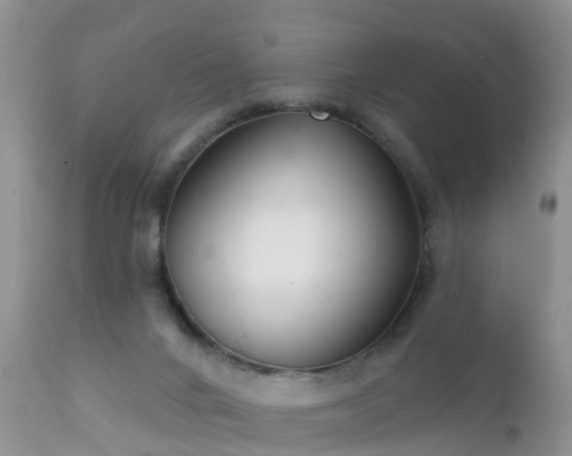 X0000112420024200908211156