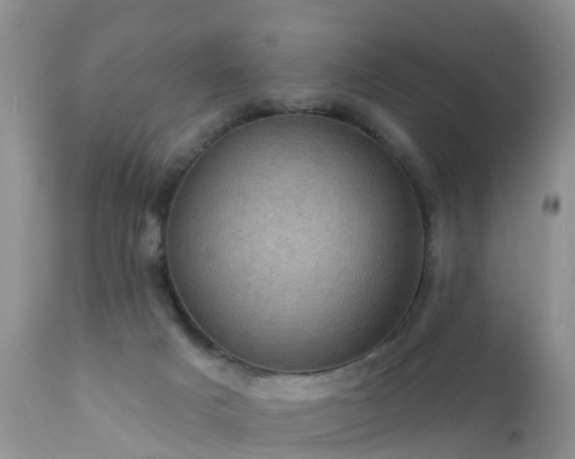 X0000112420025200908211156