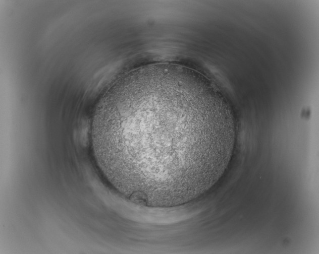 X0000112420026200908211156