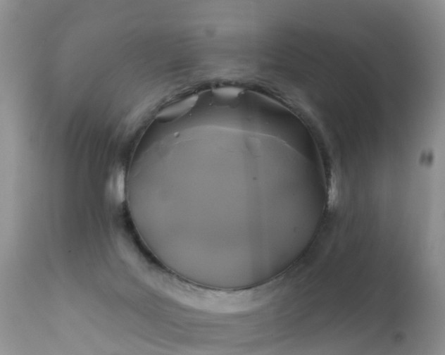 X0000112420027200908211156