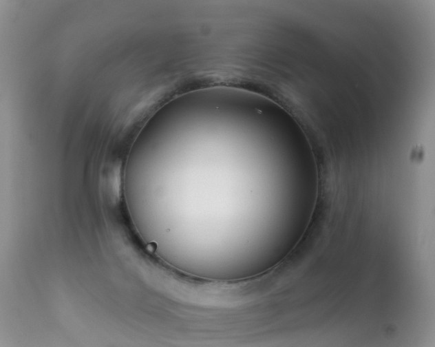 X0000112420028200908211156