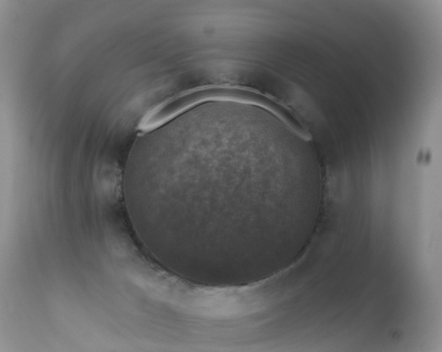 X0000112420029200908211156