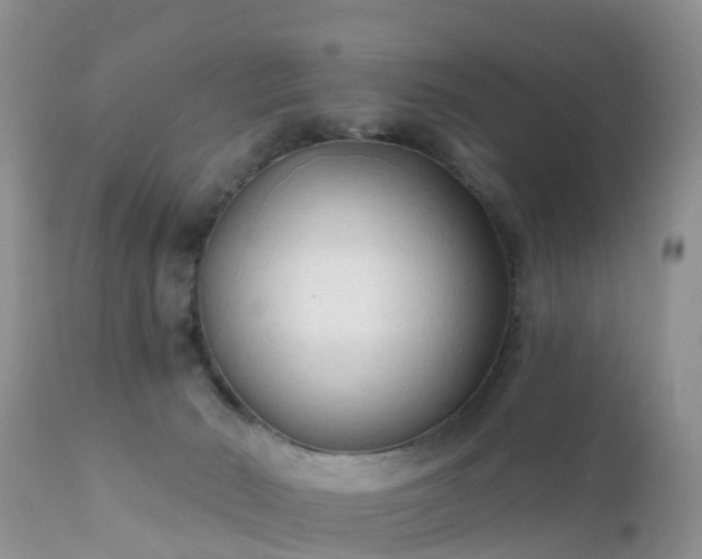 X0000112420030200908211156