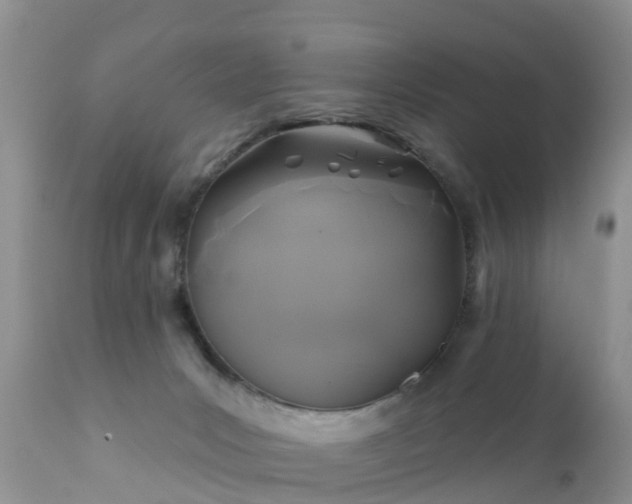 X0000112420031200908211156