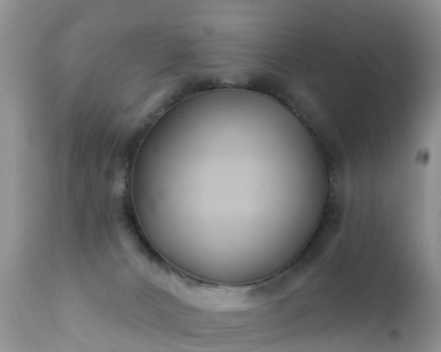 X0000112420032200908211156