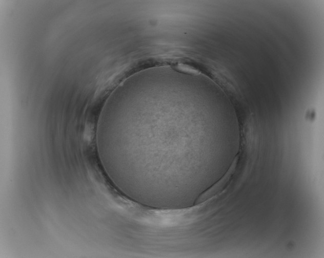 X0000112420033200908211156