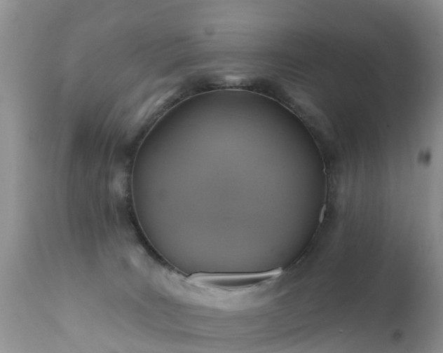 X0000112420035200908211156