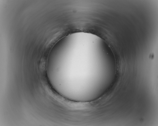 X0000112420036200908211156