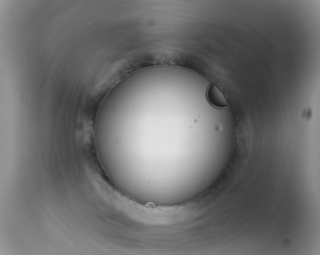 X0000112420038200908211156