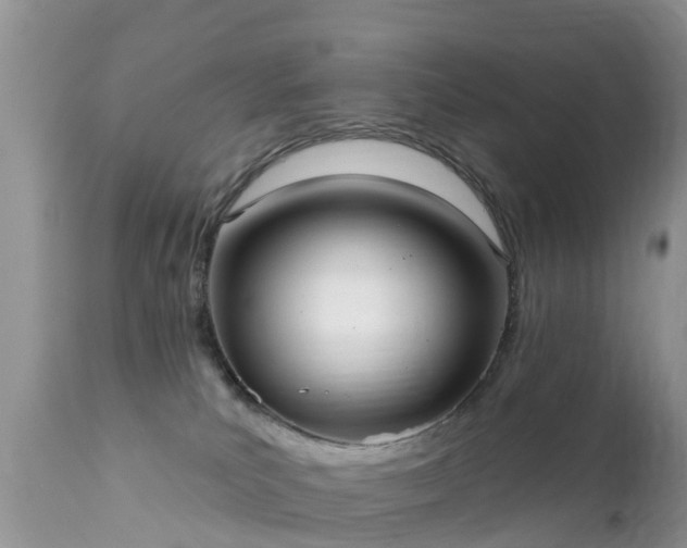 X0000112420039200908211156