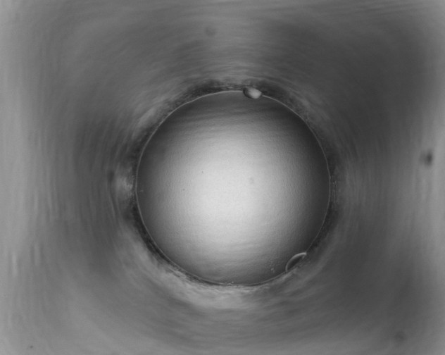 X0000112420040200908211156