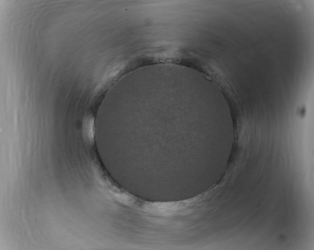 X0000112420041200908211156