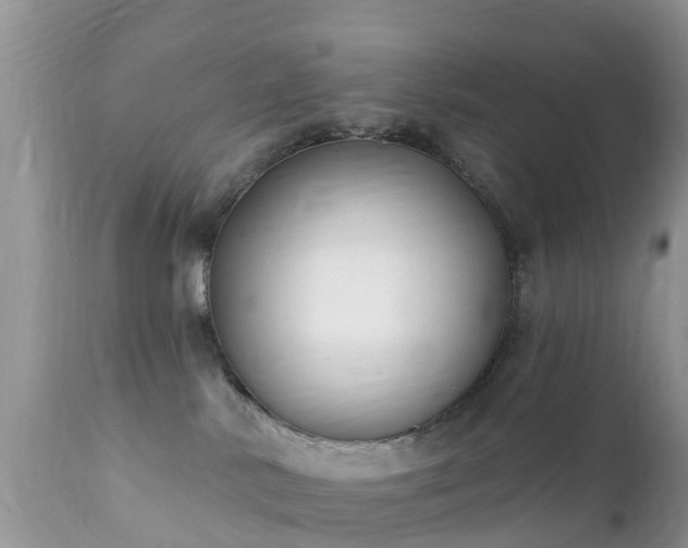 X0000112420042200908211156