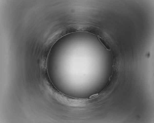 X0000112420044200908211156