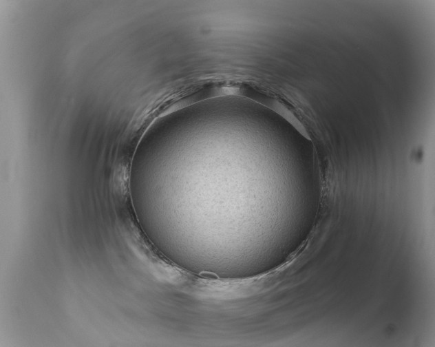 X0000112420045200908211156