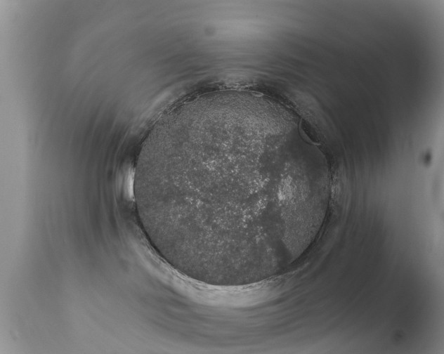 X0000112420046200908211156