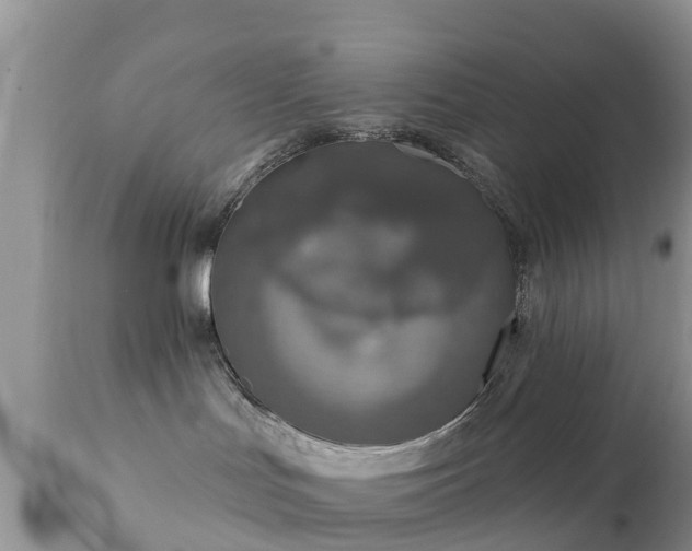 X0000112420047200908211156