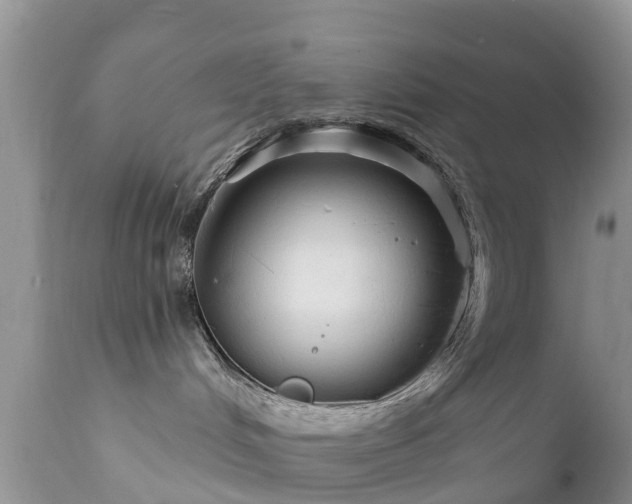 X0000112420048200908211156