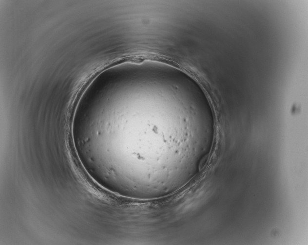 X0000112420049200908211155