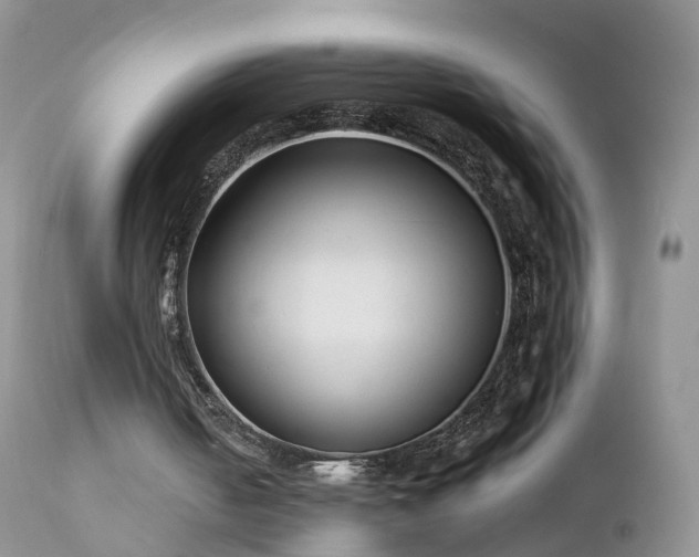 X0000112420050200908211155