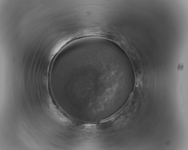 X0000112420052200908211155