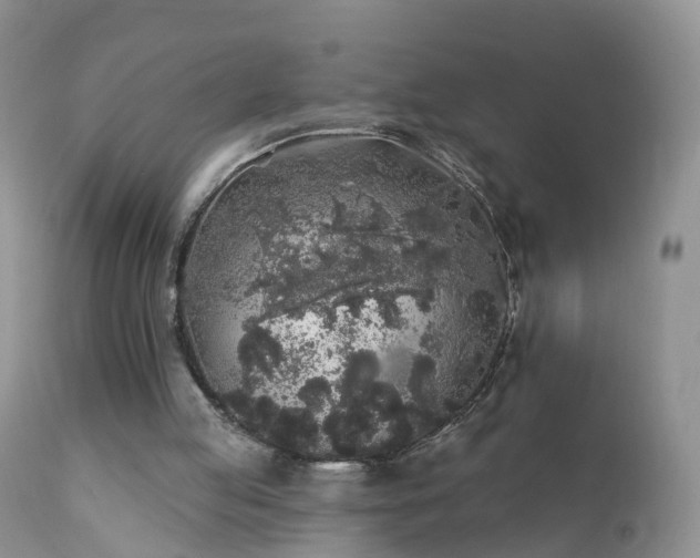 X0000112420053200908211155