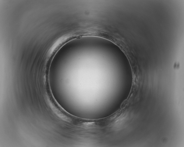 X0000112420054200908211155