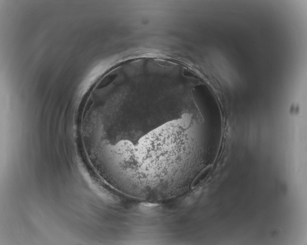 X0000112420055200908211155