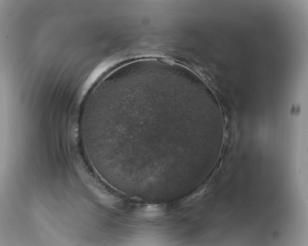 X0000112420056200908211155