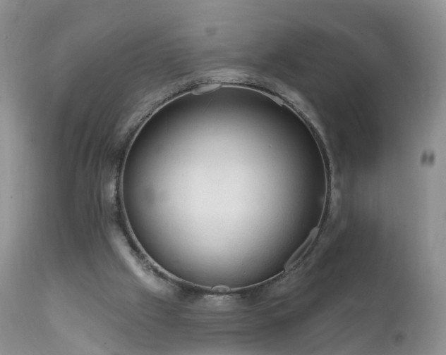 X0000112420057200908211155