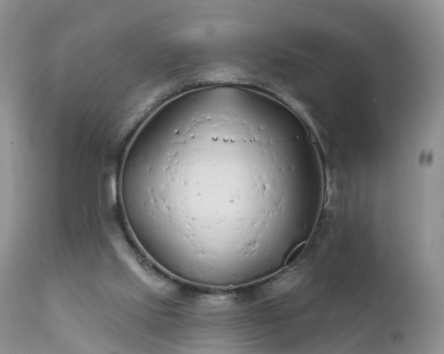 X0000112420061200908211155