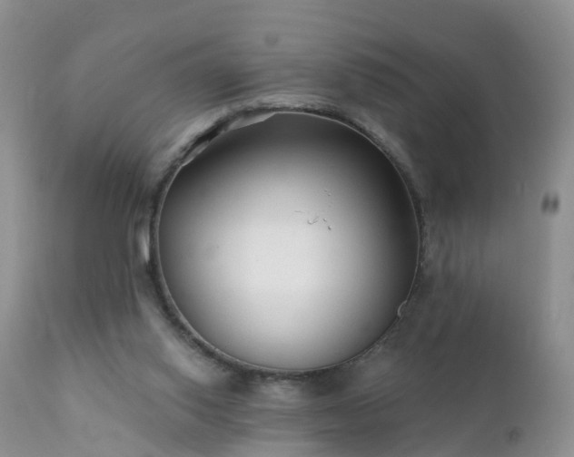 X0000112420062200908211155