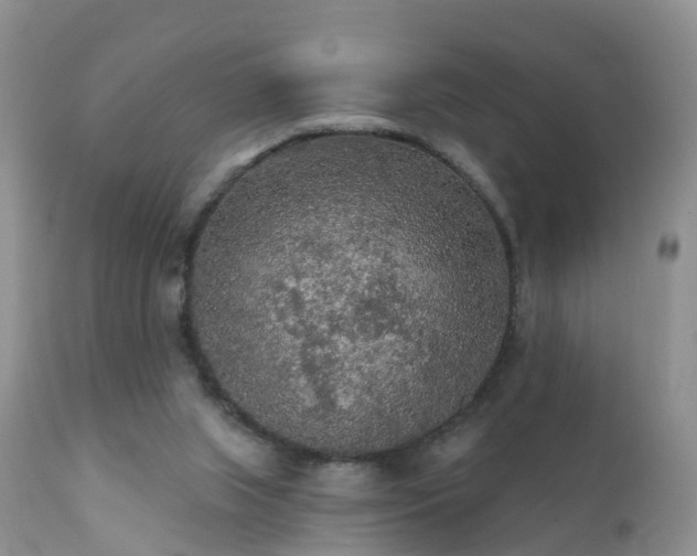 X0000112420063200908211155