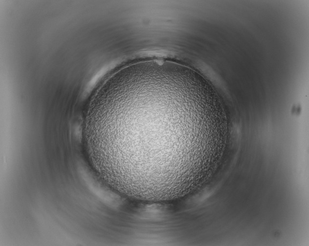 X0000112420064200908211155