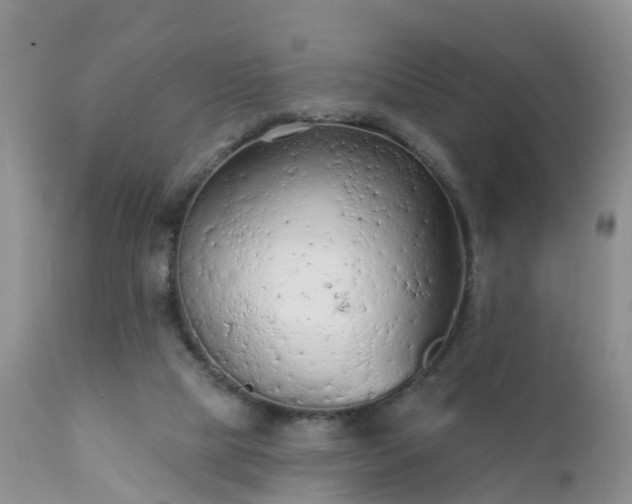 X0000112420065200908211155