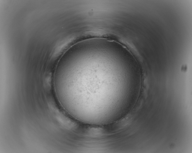 X0000112420066200908211155