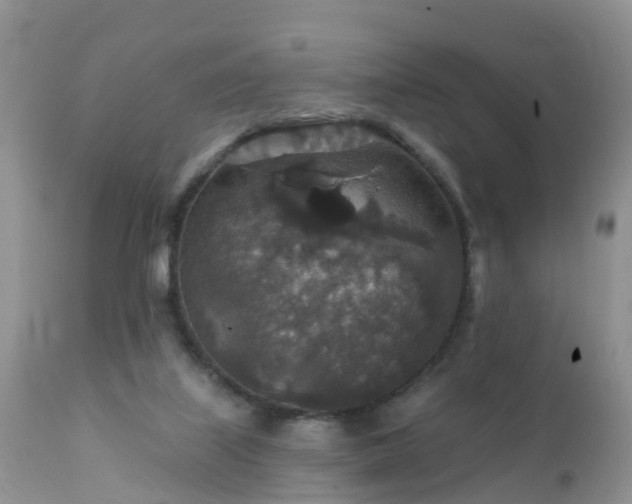 X0000112420067200908211155