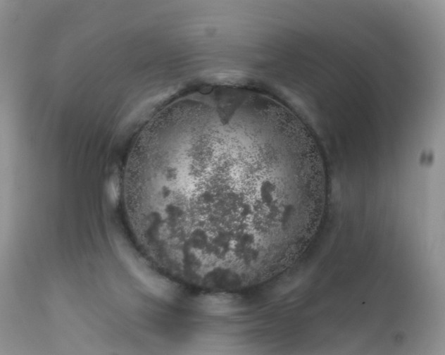 X0000112420069200908211155