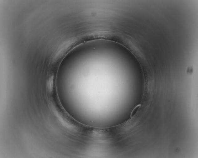 X0000112420070200908211155